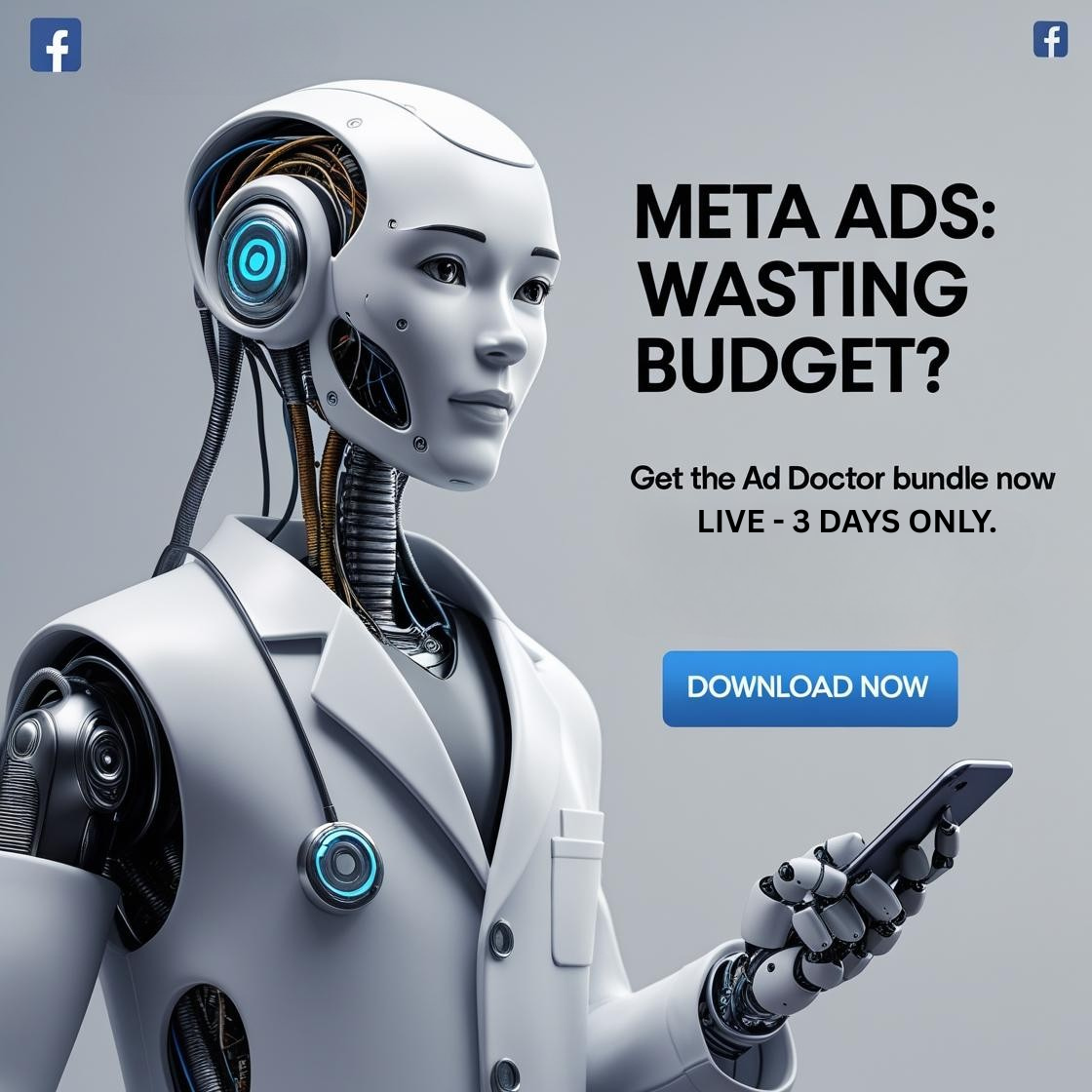 The Meta Ads Performance Playbook & Toolkit
