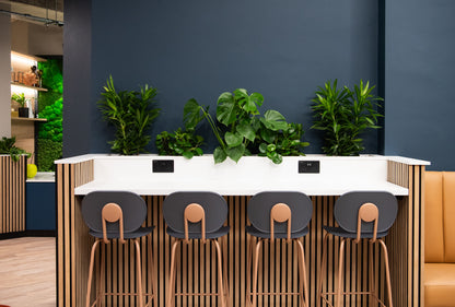 Newcastle 5th DEC| 1-Day Facebook Ads Setup - Workshop