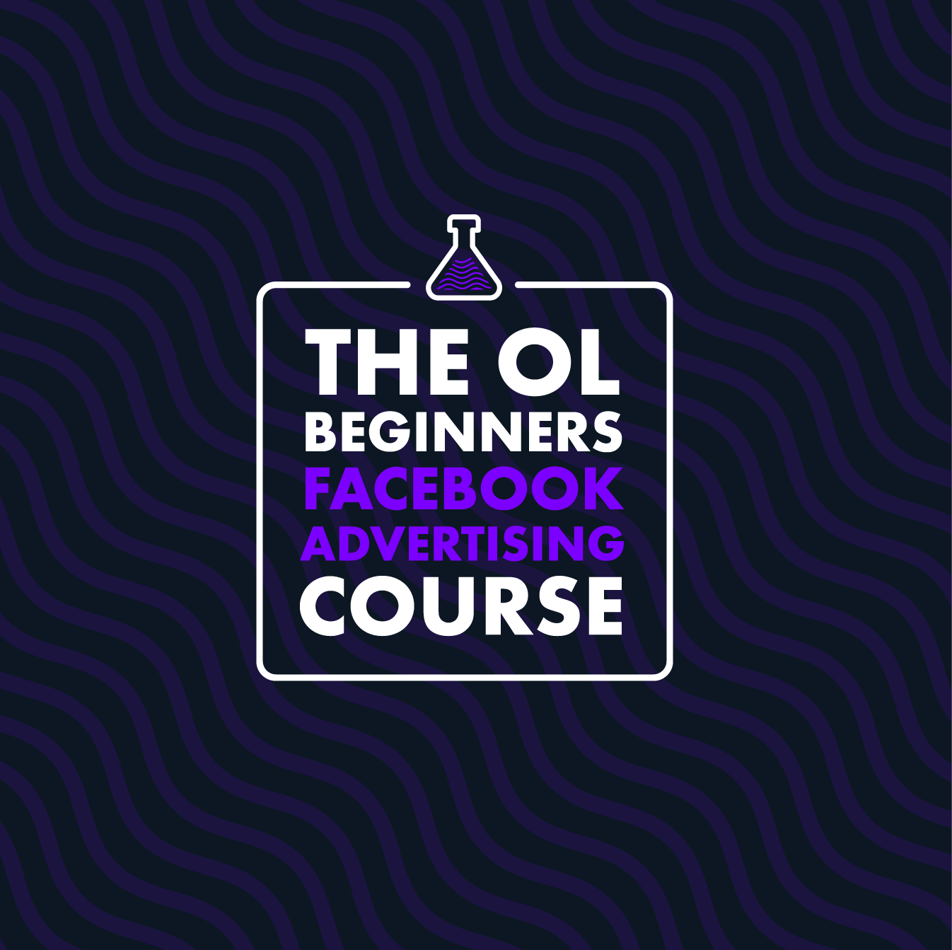 Crash Course in Meta (Facebook & Instagram) Advertising - Manchester October 30th - 2025