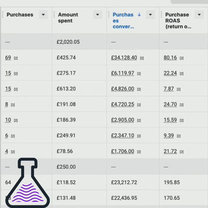 The Meta Ads Performance Playbook & Toolkit
